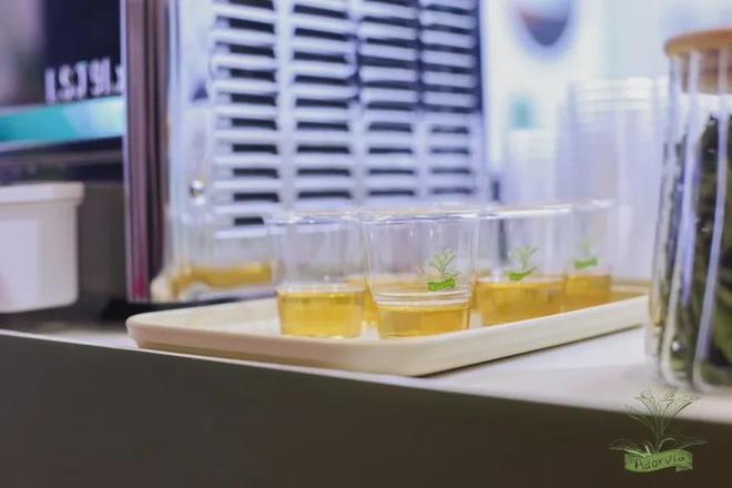 _柯糖遇袭的真相_速食玉米粥减糖吗