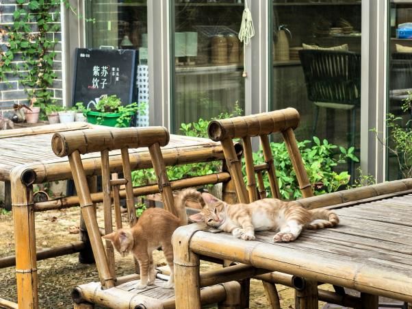 社区邻里广场_邻里社区官网_