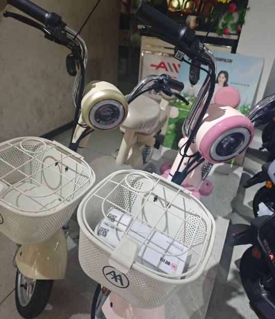 二手电动车涨价_国标二手电动车_