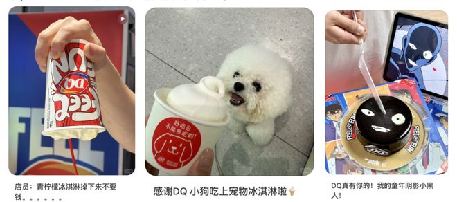 为啥去看疯狂动物城人手一杯DQ冰淇淋?“必须冻得邦邦硬恨不得把牙崩断”__为啥去看疯狂动物城人手一杯DQ冰淇淋?“必须冻得邦邦硬恨不得把牙崩断”