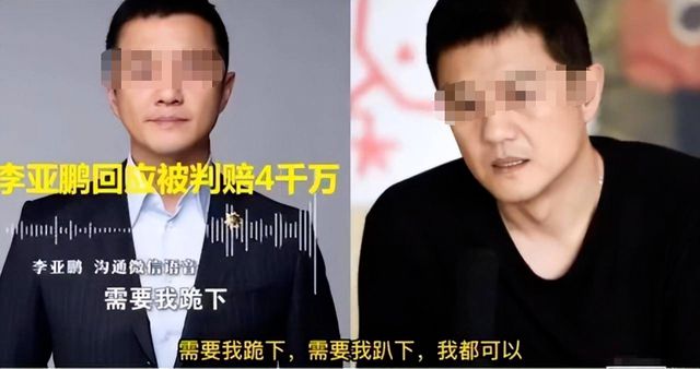 _李亚鹏欠债语音_李亚鹏被判赔4000万及利息