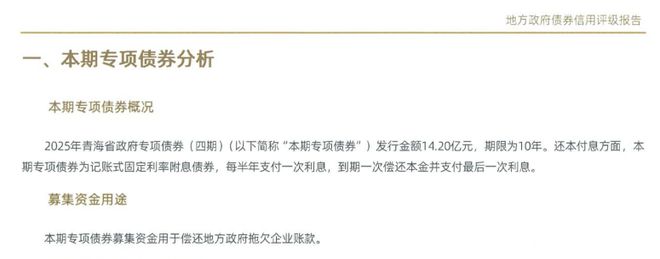 新增债务_新增专项债券资金_