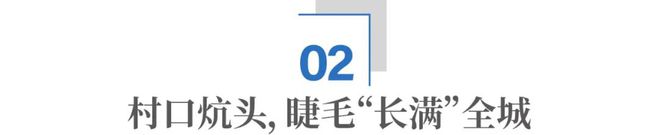 制造龙眼睛__日本卡姿兰大眼睛雕塑