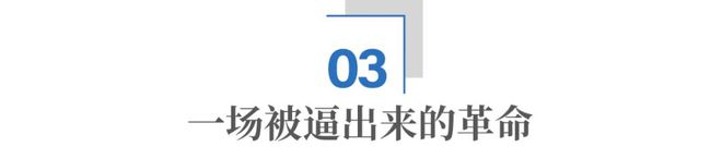 _日本卡姿兰大眼睛雕塑_制造龙眼睛