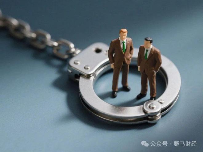 占用资金如何算__占用现实困局华法资金负责什么