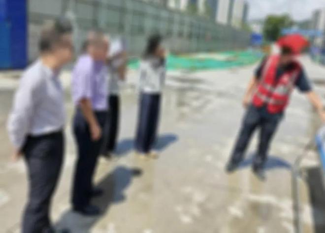 考察一个项目怎么考察_浙江嘉化能源pvc项目_