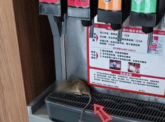 放老鼠药通知_老鼠报案_