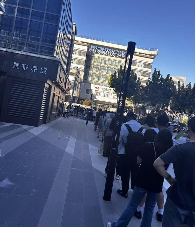 老鼠报案_放老鼠药通知_