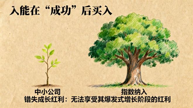 了解基金知识__获利指数缺点