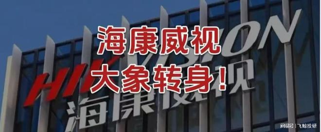海康威视，大象转身！