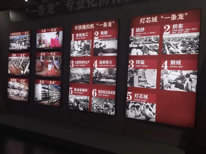 _常州恐龙园的恐龙化石_常州恐龙化石的由来