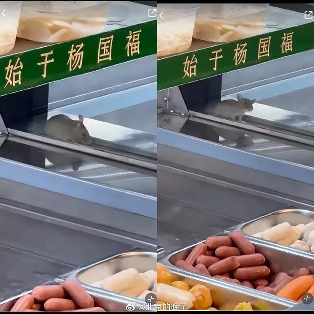 1斤豆芽卖28元，是谁给了杨国福勇气？__1斤豆芽卖28元，是谁给了杨国福勇气？