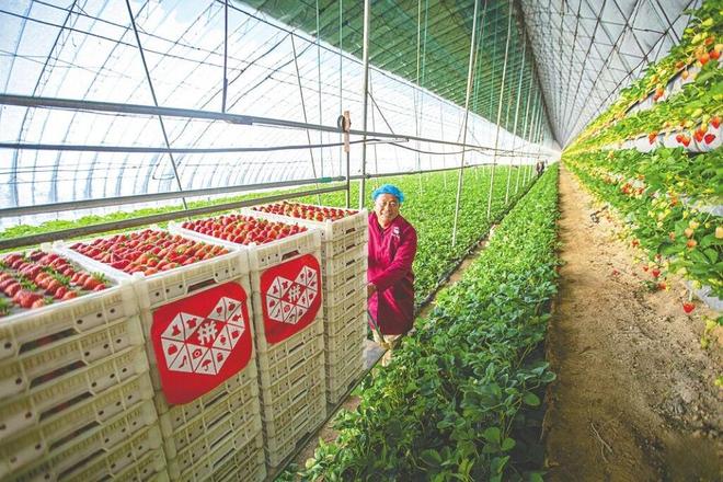 黄峥去哪儿了__黄峥去哪儿了