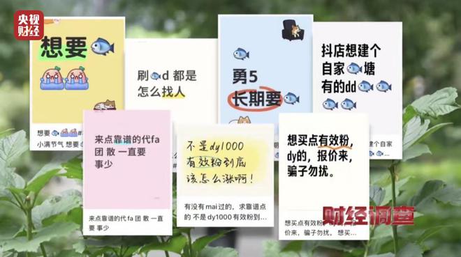 大众点评探店笔记造假，小红书成网络水军接派单“新阵地”！总台《财经调查》曝光→__大众点评探店笔记造假，小红书成网络水军接派单“新阵地”！总台《财经调查》曝光→