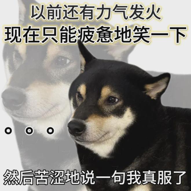 「窝囊旅游三件套」，拯救多少打工人？__「窝囊旅游三件套」，拯救多少打工人？