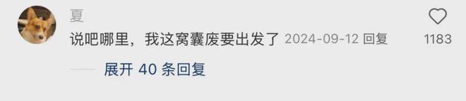 「窝囊旅游三件套」，拯救多少打工人？__「窝囊旅游三件套」，拯救多少打工人？