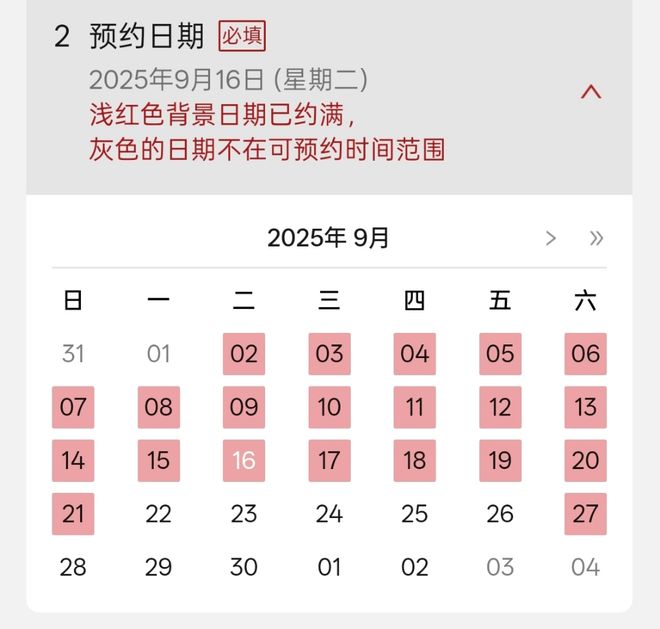 迪士尼寿司_寿司能带进迪士尼吗_