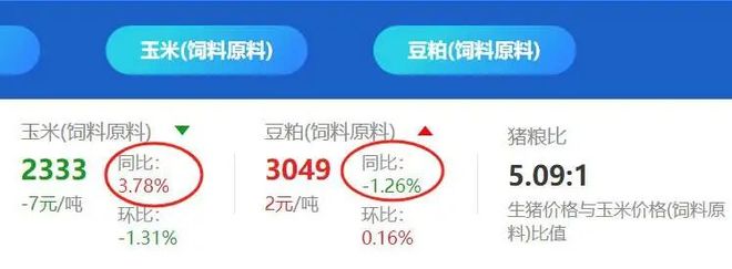 _2021年养猪行业如何_养猪业趋势