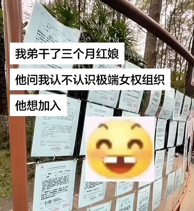 相亲笼仓可以一直用吗_相亲笼会怀孕吗_