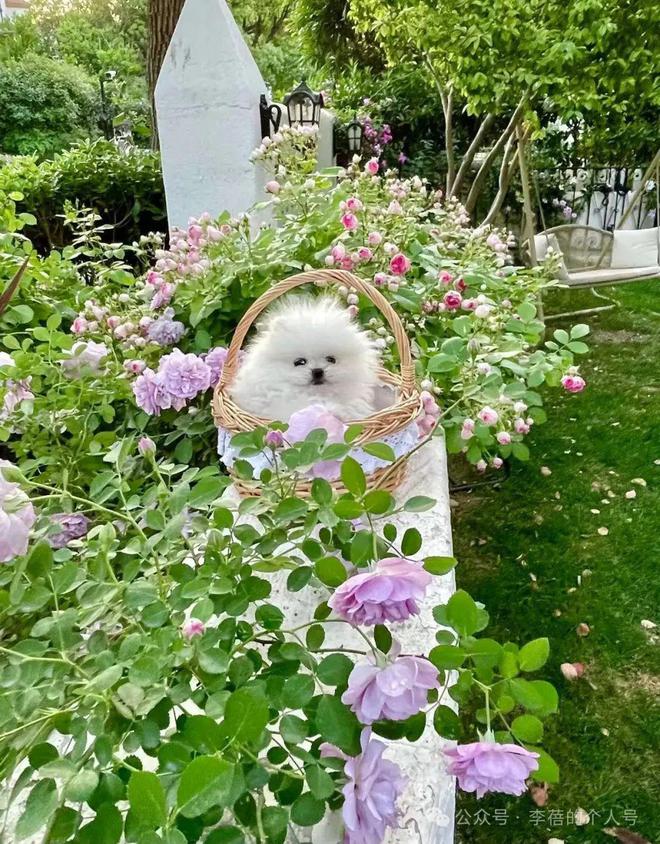 颜值贬值_贬低颜值的话_
