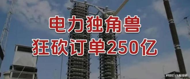 狂砍订单250亿，电力独角兽，一骑绝尘！__狂砍订单250亿，电力独角兽，一骑绝尘！