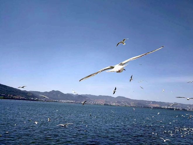 施洛斯投资小试：中远海能H股投资复盘