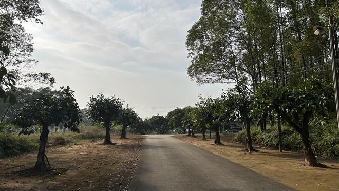 确定定增价后股价暴涨__猴繁殖繁殖