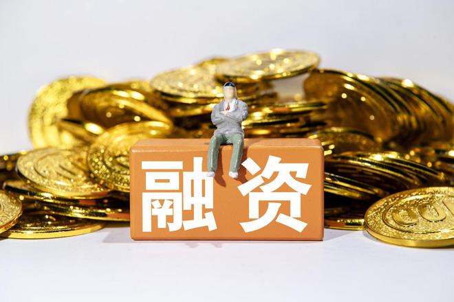 _引导民营经济健康发展_民营企业促进法