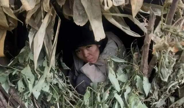 疯批冷美人、返祖中医男爆红！荒野求生“发疯”背后是一场大生意__疯批冷美人、返祖中医男爆红！荒野求生“发疯”背后是一场大生意