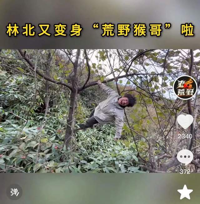 疯批冷美人、返祖中医男爆红！荒野求生“发疯”背后是一场大生意__疯批冷美人、返祖中医男爆红！荒野求生“发疯”背后是一场大生意
