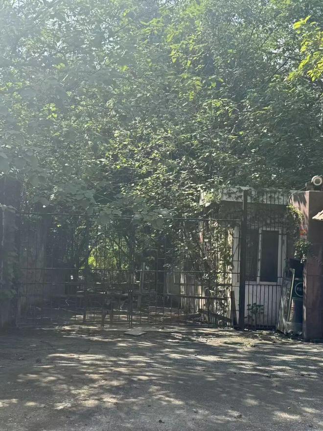 _北大医药董秘_北大医药实际控制人