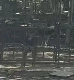 北大医药董秘_北大医药实际控制人_