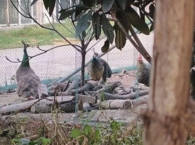 北大医药实际控制人__北大医药董秘