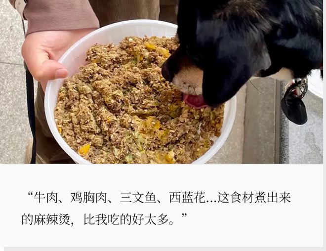 川成元麻辣香锅可以加盟吗__麻辣烫热狗图片