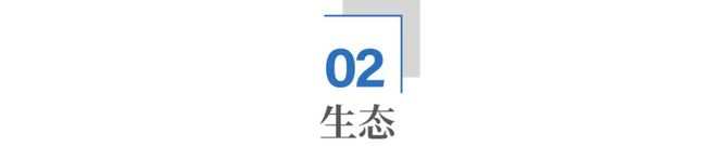 中国新能源重卡，杀疯了_中国新能源重卡，杀疯了_