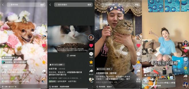 _抖音「宠友联萌季」X「万物可爱计划5.0」，将毛孩子“宠上天”_抖音「宠友联萌季」X「万物可爱计划5.0」，将毛孩子“宠上天”