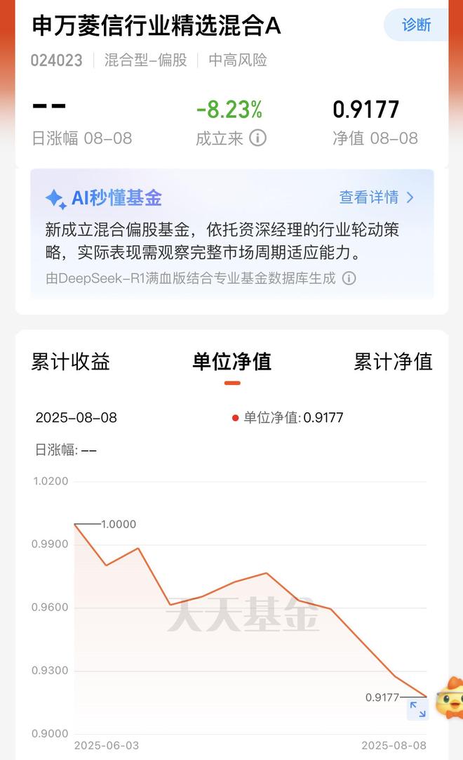 基金亏了基金经理怎么样_亏钱的基金经理_
