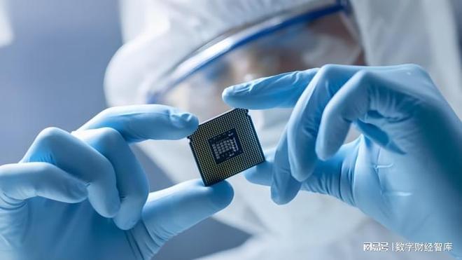 _阿里高管妻子发声_阿里集团女高管