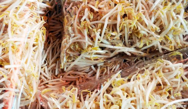 尚上签麻辣捞烫加盟__父母房子200元卖给子女