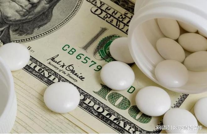 _替代房子_替代楼盘什么意思