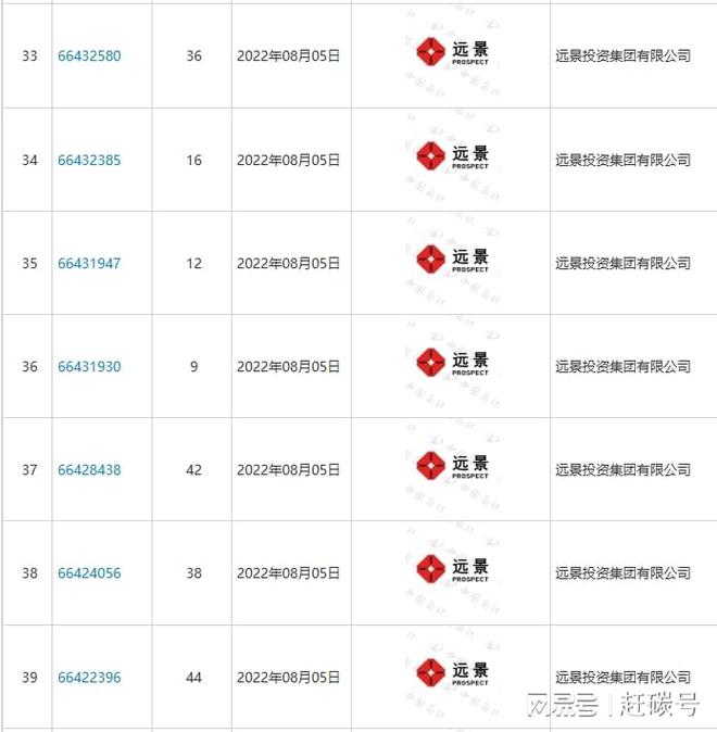 _远景能源股份公司_远景能源资产