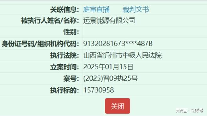 远景能源资产__远景能源股份公司