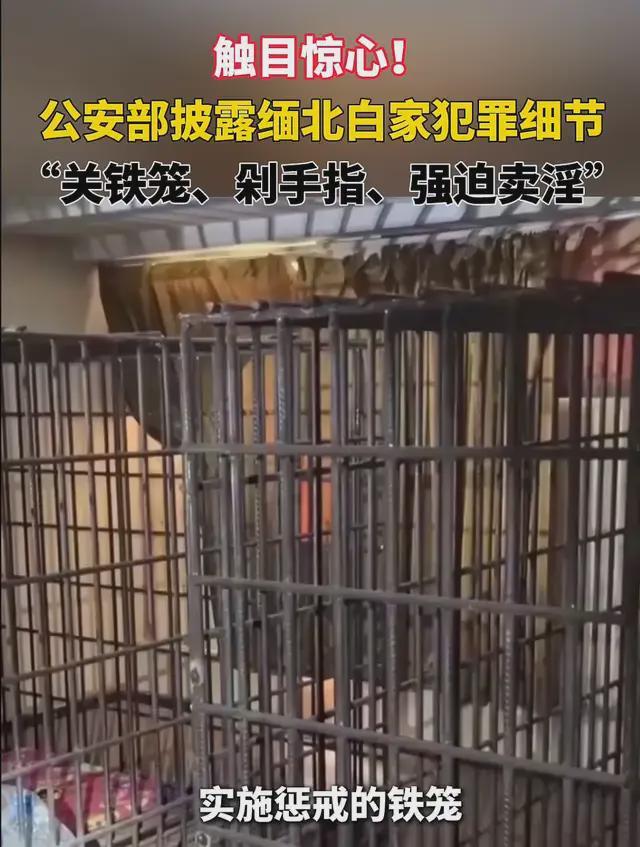 涉案金额286亿，缅北白家犯罪集团恶行曝光_涉案金额286亿，缅北白家犯罪集团恶行曝光_