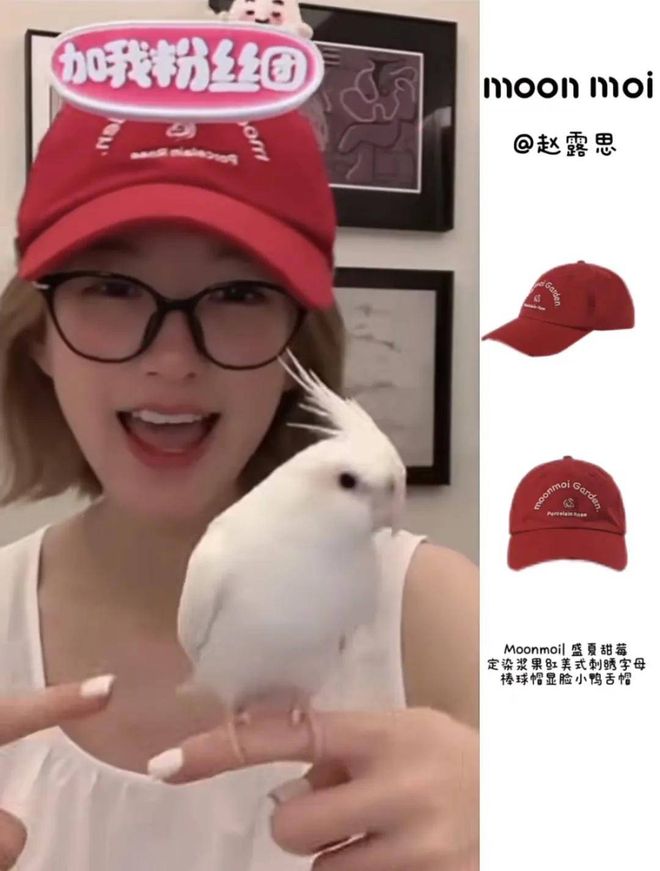 _各大直播一姐_熊猫直播一姐冯提莫
