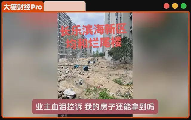 _纸糊的2500亿巨头，老板去了日本_纸糊的2500亿巨头，老板去了日本