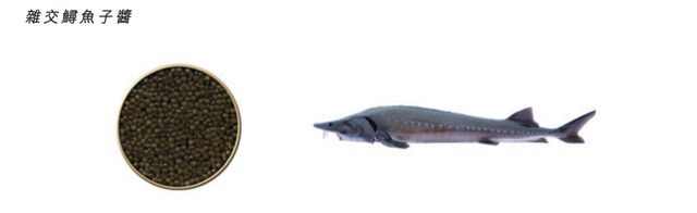 盛宴集团_盛宴大餐又称什么_