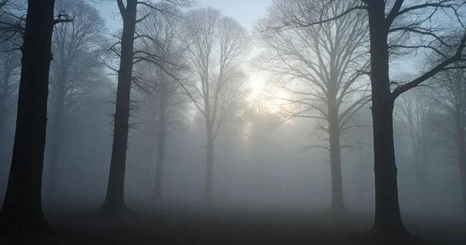 传动科技公司__传动上市公司