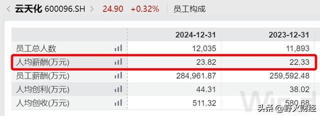 上市公司80后董事长__80后国企董事长