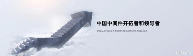 财务造假曝光！这些‘自主可控’的企业，到底在骗谁？