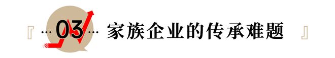 三个私生子起诉宗馥莉，宗庆后给娃哈哈埋了颗大雷__三个私生子起诉宗馥莉，宗庆后给娃哈哈埋了颗大雷